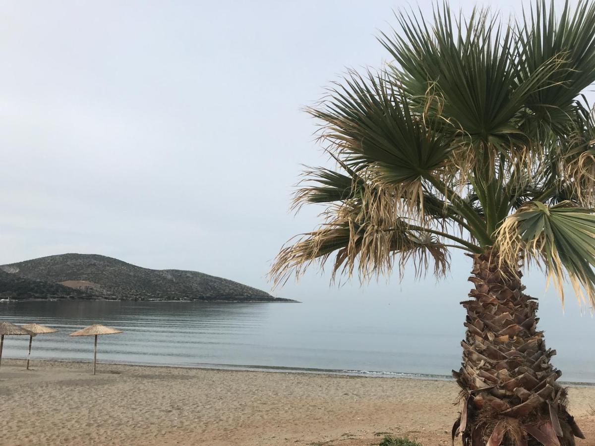 Cosy Studio 2 Minutes Walking From The Beach أنافيسوس المظهر الخارجي الصورة